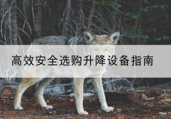 海口升降货梯厂家推荐-*安全选购升降设备指南