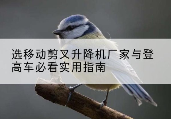 海口电动升降机厂家-选移动剪叉升降机厂家与登高车必看实用指南